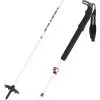 Atomic BCT Mountaineering SQS Poles Silver/grey